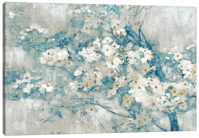 Dogwood Bloom I Canvas Art Print - Dogwood