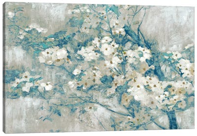 Dogwood Bloom II Canvas Art Print - Edward Selkirk