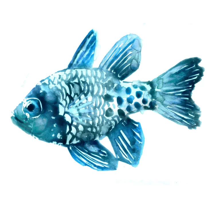 Fish II by Edward Selkirk wall art