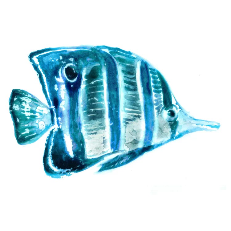 Fish III by Edward Selkirk wall art