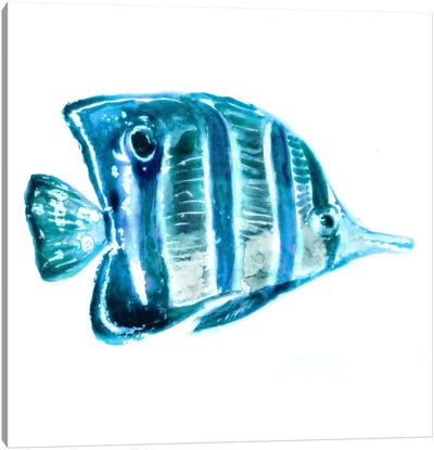 Fish III Canvas Art Print - Black, White & Blue Art