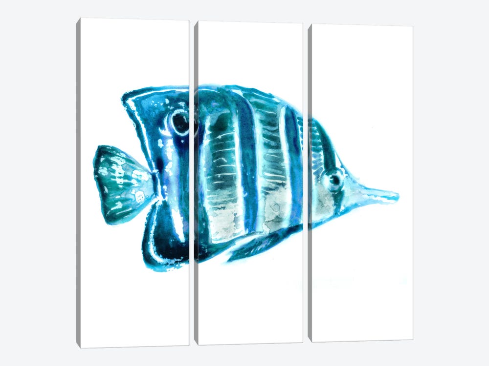 Fish III by Edward Selkirk 3-piece Art Print