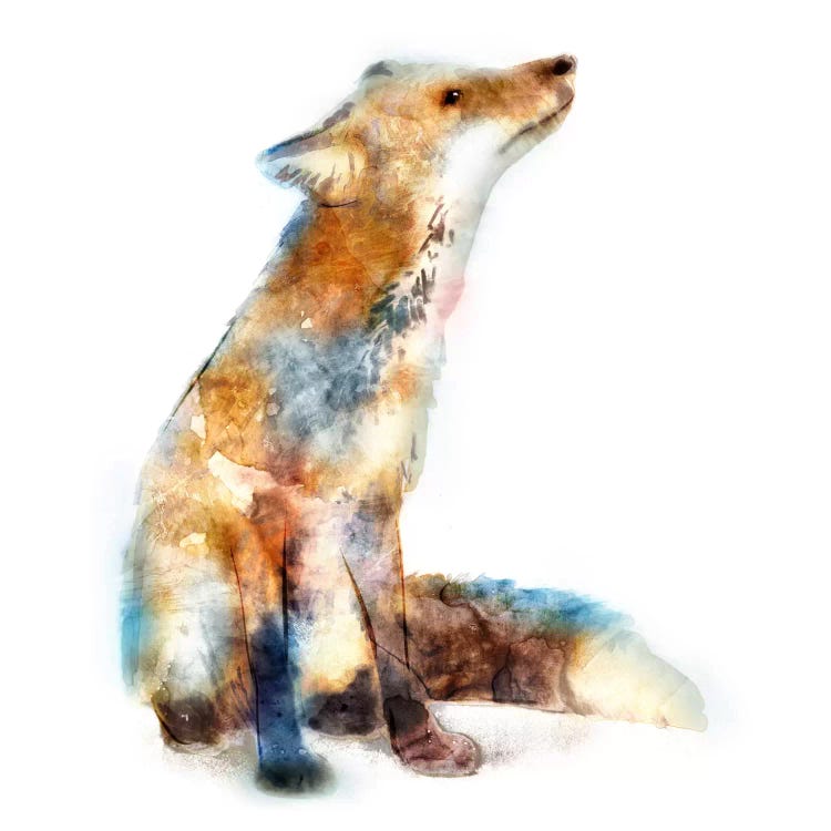 Fox by Edward Selkirk wall art