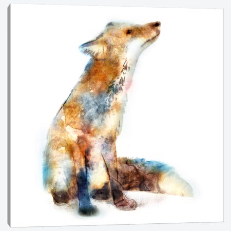 Fox Canvas Print #ESK73} by Edward Selkirk Canvas Wall Art