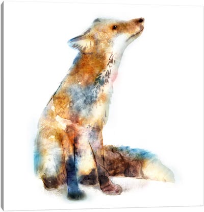Fox Canvas Art Print - Edward Selkirk