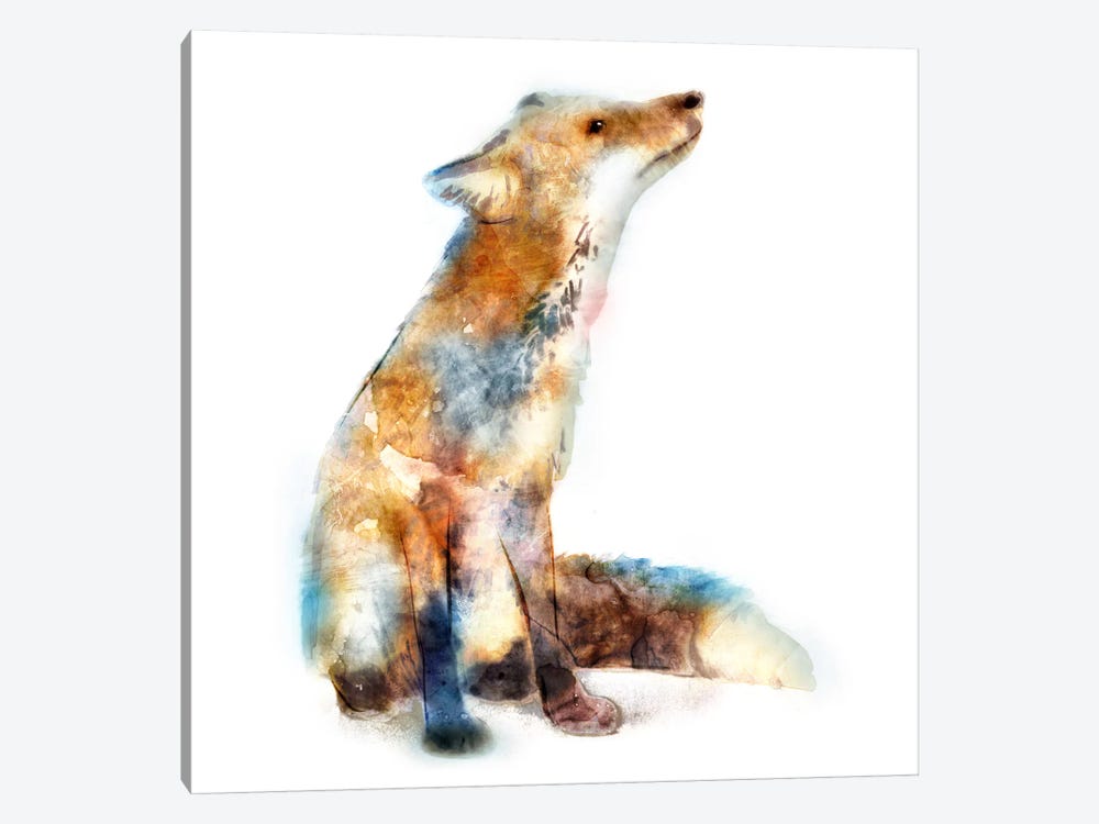 Fox by Edward Selkirk 1-piece Art Print