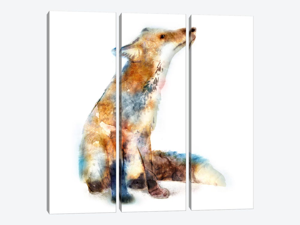 Fox by Edward Selkirk 3-piece Canvas Print