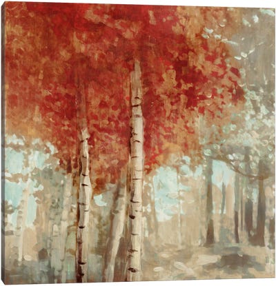 Frontier I Canvas Art Print - Aspen and Birch Trees