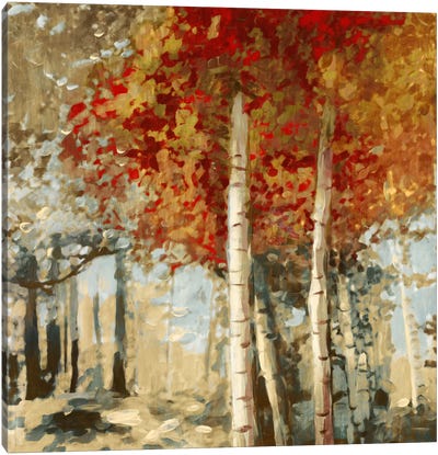 Frontier II Canvas Art Print - Aspen and Birch Trees