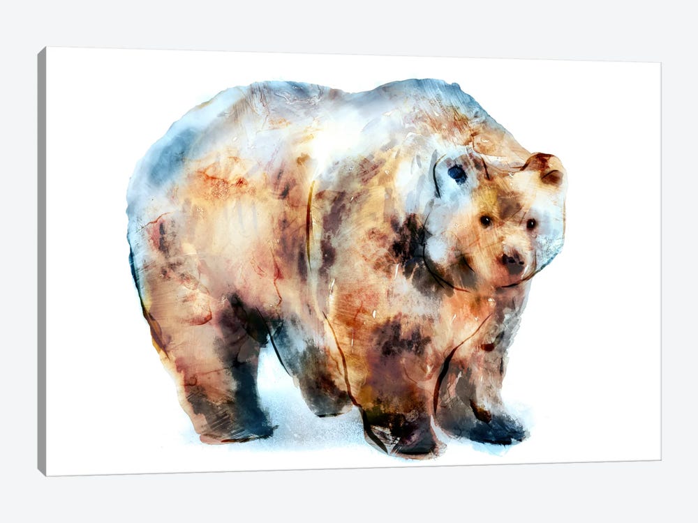Bear II by Edward Selkirk 1-piece Canvas Artwork