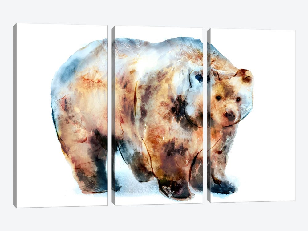 Bear II by Edward Selkirk 3-piece Canvas Wall Art