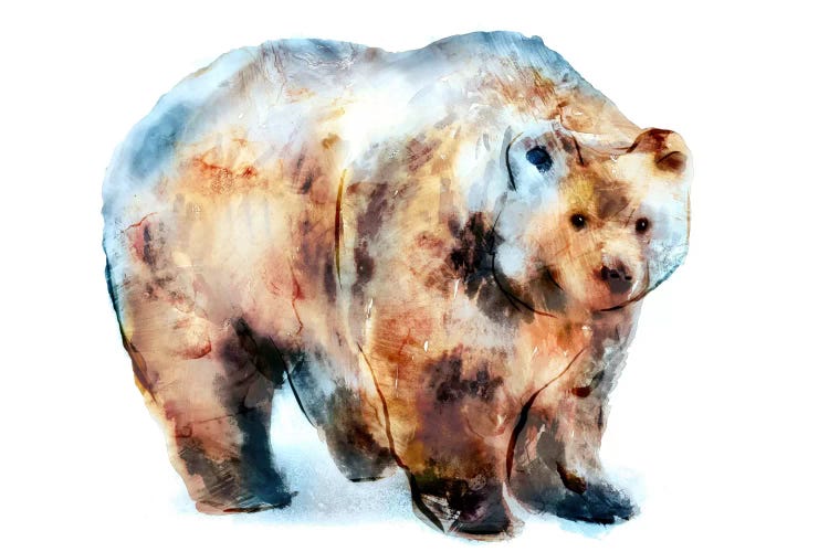 Bear II by Edward Selkirk wall art