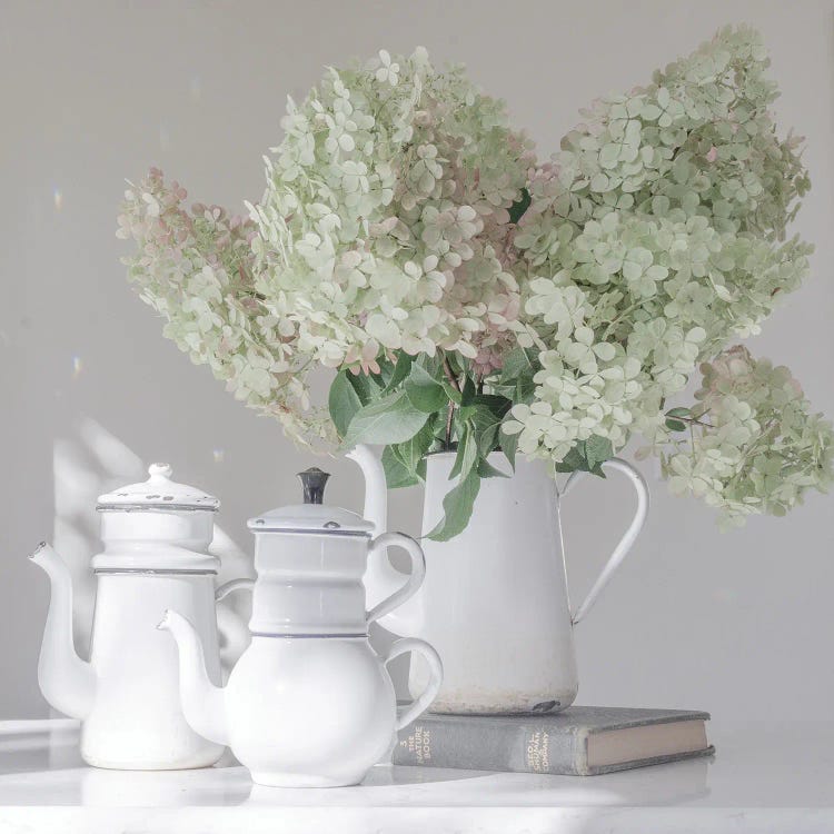 Antique Percolators With White Hydrangeas