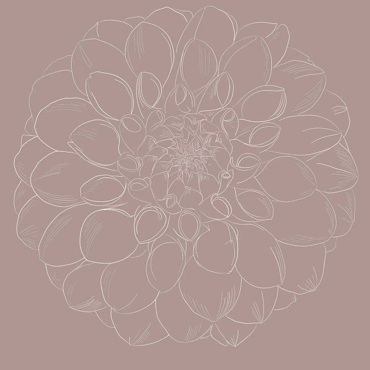 Dahlia Linotype by Erin Sparler wall art