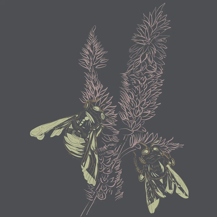 Foxtail & Bees Linotype I