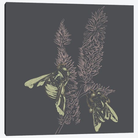 Foxtail & Bees Linotype I Canvas Print #ESL3} by Erin Sparler Canvas Art