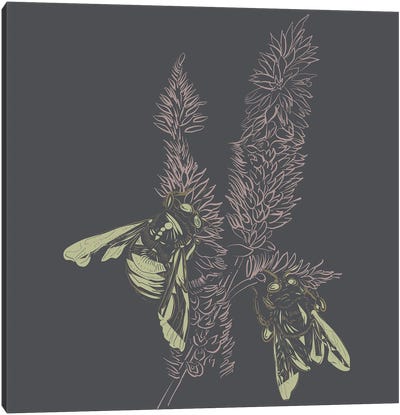 Foxtail & Bees Linotype I Canvas Art Print - Japandi
