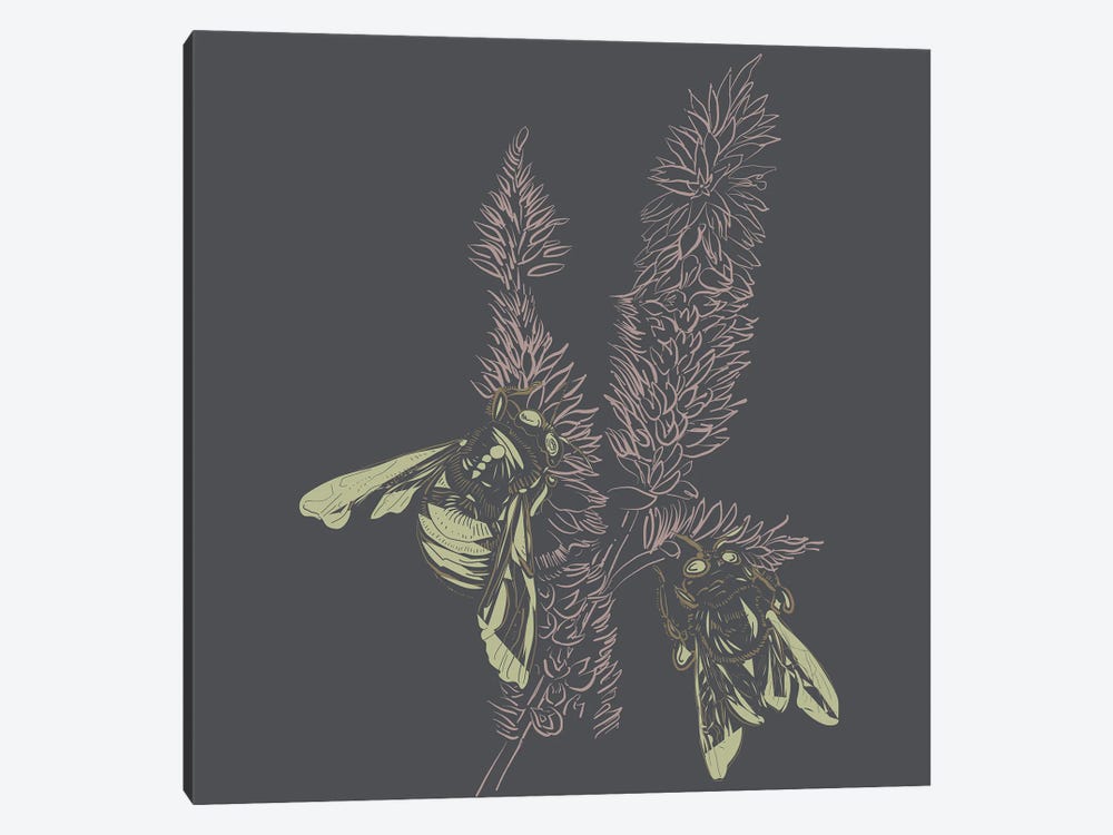 Foxtail & Bees Linotype I by Erin Sparler 1-piece Canvas Art Print