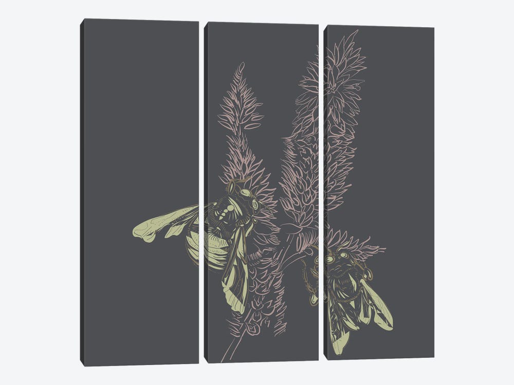 Foxtail & Bees Linotype I by Erin Sparler 3-piece Art Print