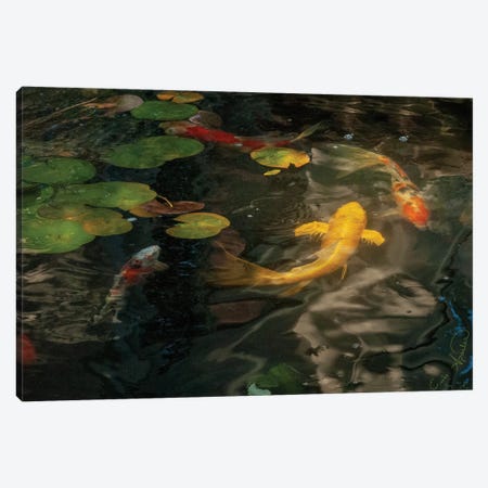 Gold And Calico Koi Canvas Print #ESL5} by Erin Sparler Art Print