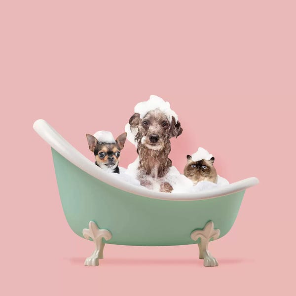 Dog Photography: Filthy Animals - No Wreath by Erin Summer