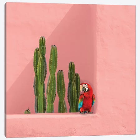 Macaw On Coral Canvas Print #ESM31} by Erin Summer Canvas Artwork