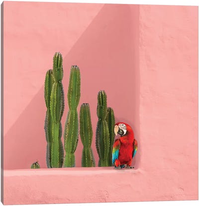 Macaw On Coral Canvas Art Print - Summer Art