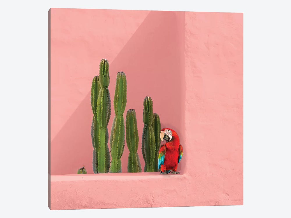 Macaw On Coral by Erin Summer 1-piece Art Print