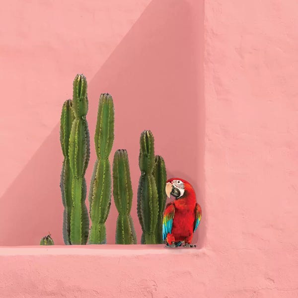 Macaws: Macaw On Coral by Erin Summer