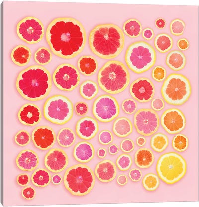Pink Slices Canvas Art Print - Minimalist Kitchen Art