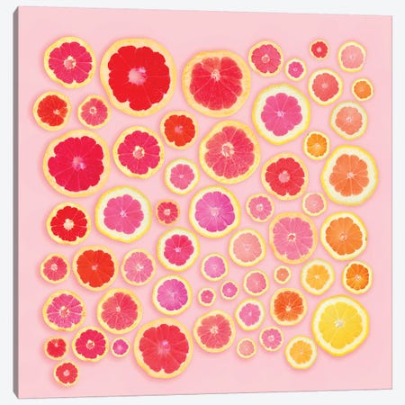 Pink Slices Canvas Print #ESM39} by Erin Summer Canvas Wall Art