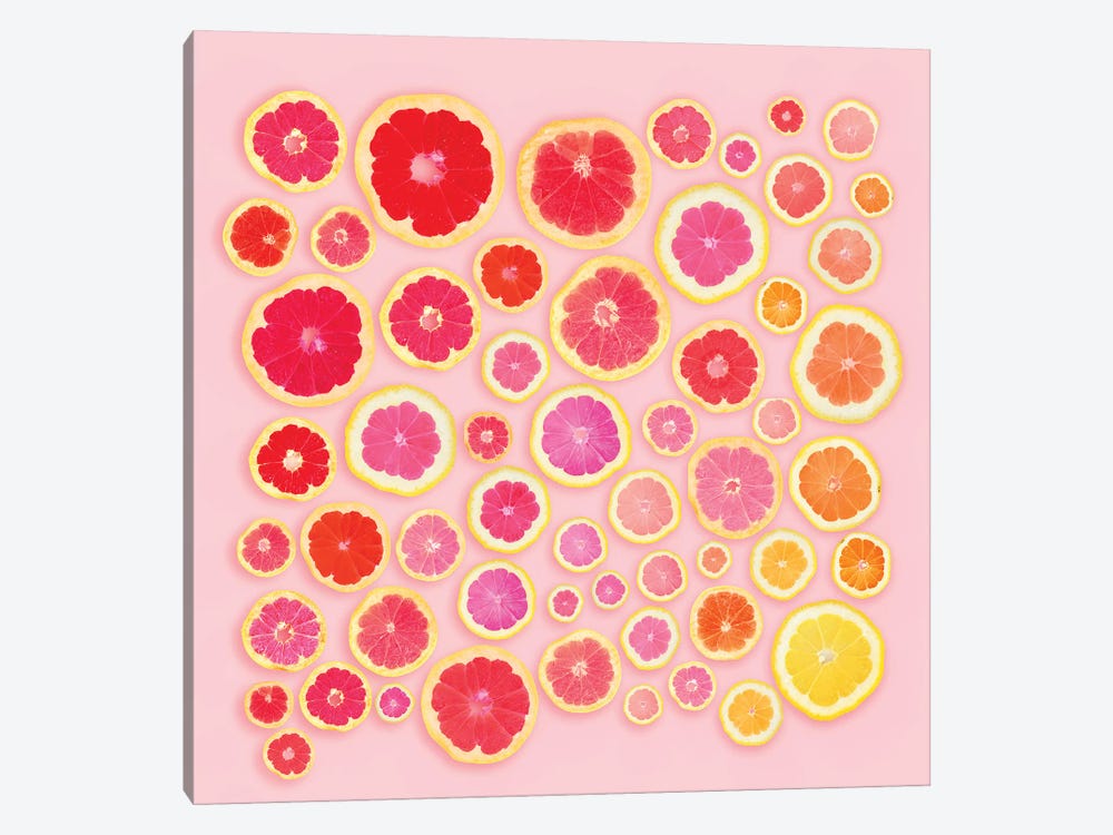 Pink Slices by Erin Summer 1-piece Canvas Print