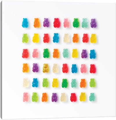 Rainbow Bears Canvas Art Print - Minimalist Rooms