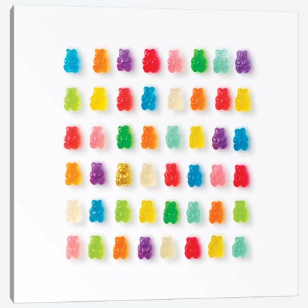 Rainbow Bears Canvas Print #ESM40} by Erin Summer Art Print