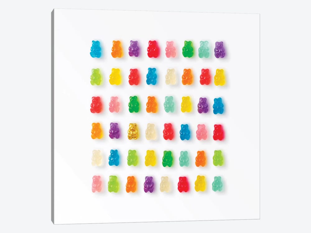 Rainbow Bears by Erin Summer 1-piece Canvas Art Print