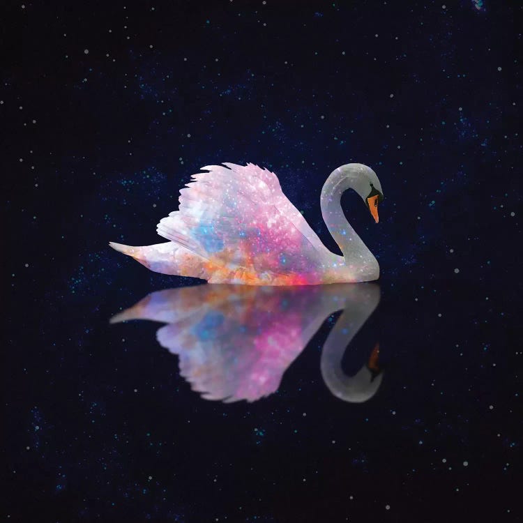 Swan Galaxy