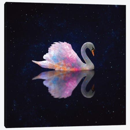 Swan Galaxy Canvas Print #ESM49} by Erin Summer Canvas Print