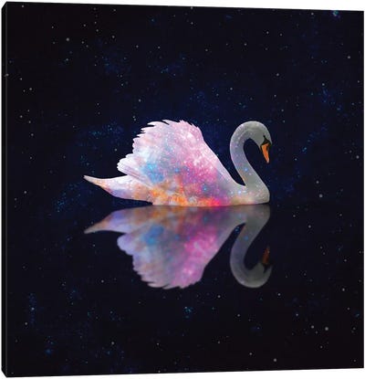 Swan Galaxy Canvas Art Print - Galaxy Art