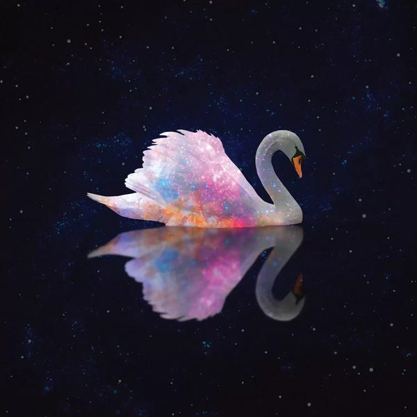 Erin Summer: Swan Galaxy by Erin Summer