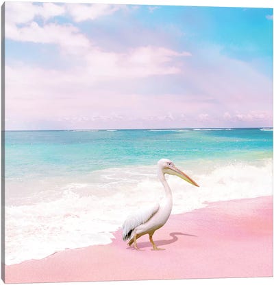 Pelican Bay Canvas Art Print - Pelican Art