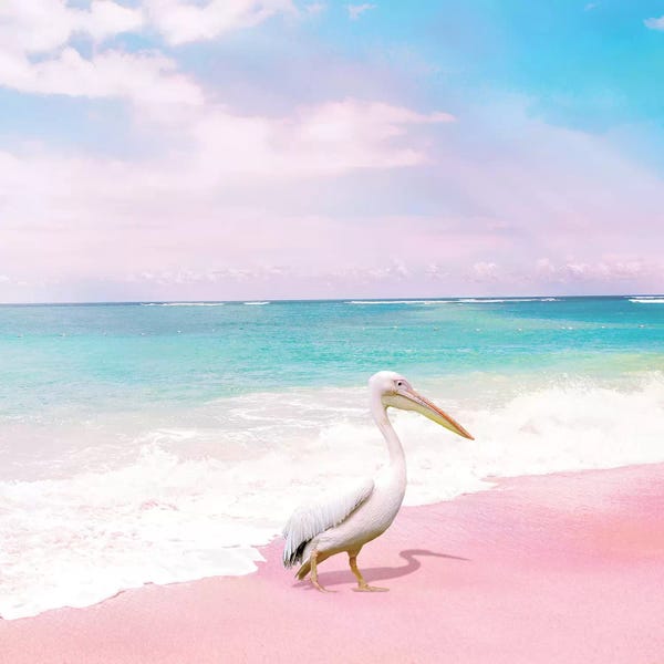 Beach Lover: Pelican Bay by Erin Summer