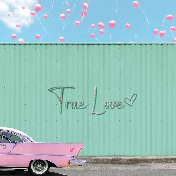 Erin Summer: True Love by Erin Summer