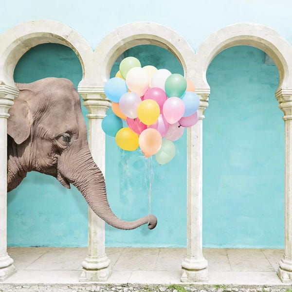 Erin Summer: An Elephant Never Forgets by Erin Summer