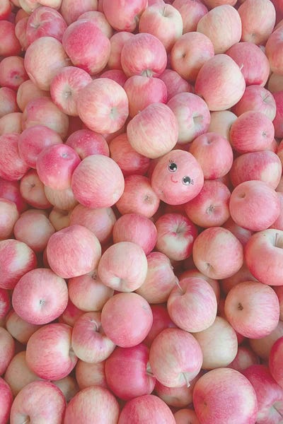 Apple Of My Eye by Erin Summer art print