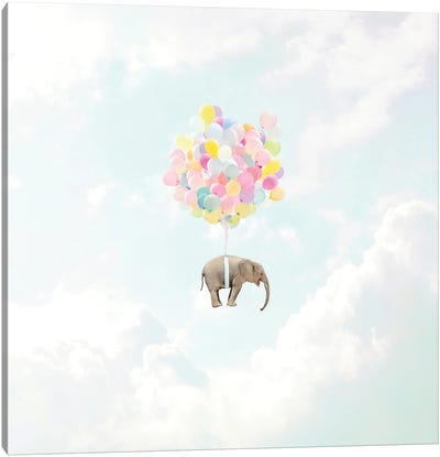 Lift Off! Canvas Art Print - Vintage Styled Photography