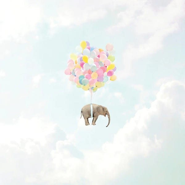 Balloons: Lift Off! by Erin Summer