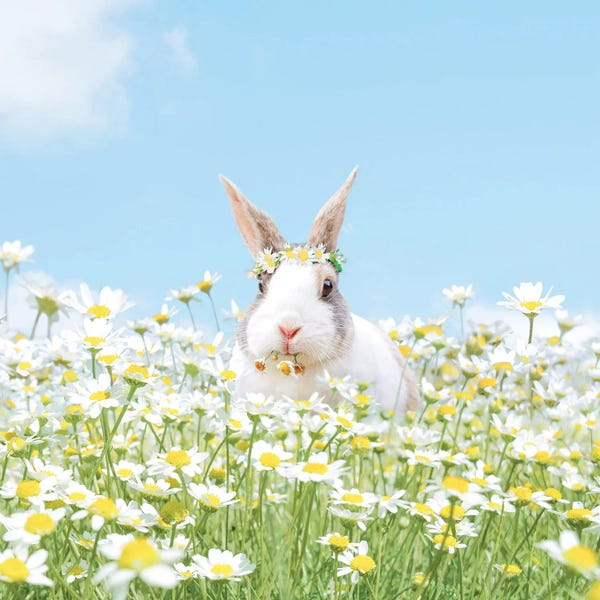 Erin Summer: Happy Days by Erin Summer