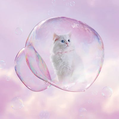 Hello Kitty by Erin Summer framed wall art