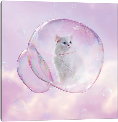 Hello Kitty Canvas Art Print - Kitten Art