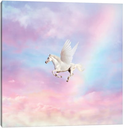 Pegasus Canvas Art Print - Cloudy Sunset Art